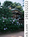 Kawagoe Hachimangu Shrine and Hydrangeas 140132222