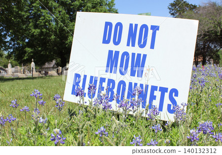 Bluebonnet Flowers With Do Not Mow Bluebonnets Sign in Oakwood Cemetery Tyler TX Bluebonnet Flowers With Do Not Mow Bluebonnets Sign in Oakwood Cemetery Tyler TX 140132312
