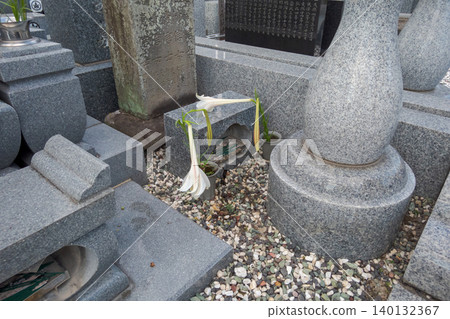 grave, tomb, gravestone 140132367