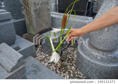 tomb, female, females 140132371