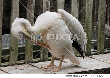 Pelican 140132798