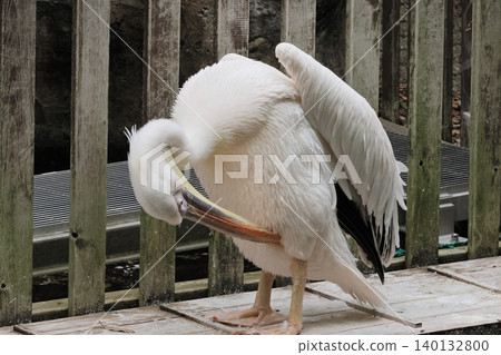Pelican Pelican 140132800