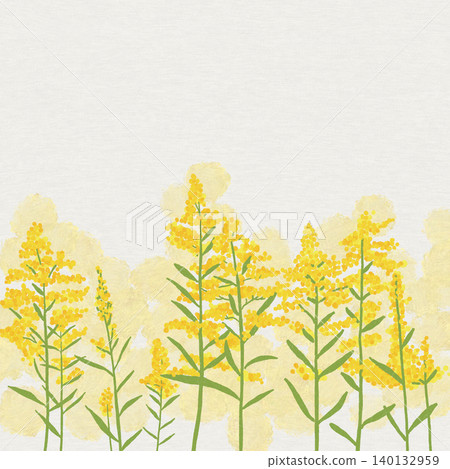 Hand-drawn flower illustration: Goldenrod Hand-drawn flower illustration: Goldenrod 140132959