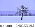 A tree standing on a snowy field 140133198