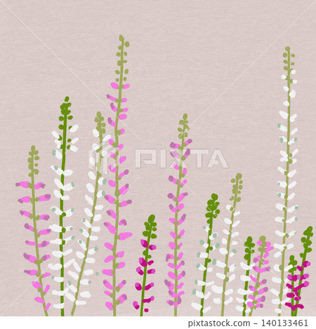 Hand-drawn flower illustration: Calluna Hand-drawn flower illustration: Calluna 140133461