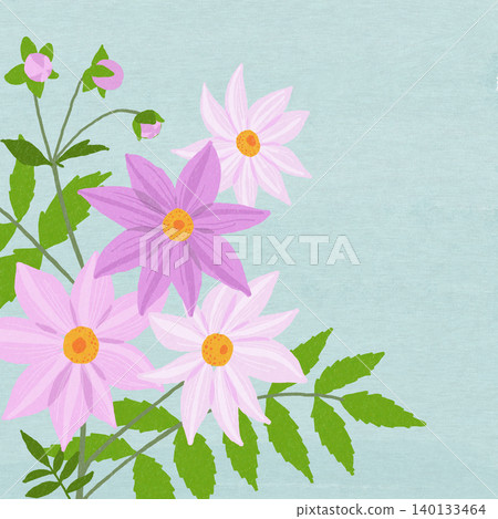 Hand-drawn flower illustration: Emperor Dahlia Hand-drawn flower illustration: Emperor Dahlia 140133464