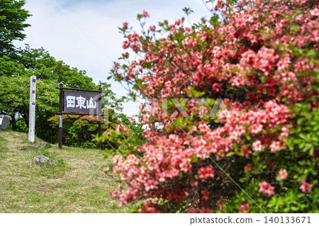 初夏時節,宮城縣南三陸町田塚山上的杜鵑花盛開 初夏時節,宮城縣南三陸町田塚山上的杜鵑花盛開 140133671