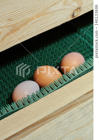 Three fresh farm eggs on an egg collection line in a modern poultry house. 140133686