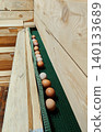 Many fresh farm eggs on the egg collection line in a modern chicken coop. 140133689