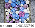 Hydrangea flower hand water 140133740