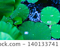 Lotus 140133741