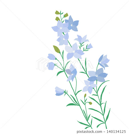 Hand-drawn flower illustration: Delphinium Hand-drawn flower illustration: Delphinium 140134125