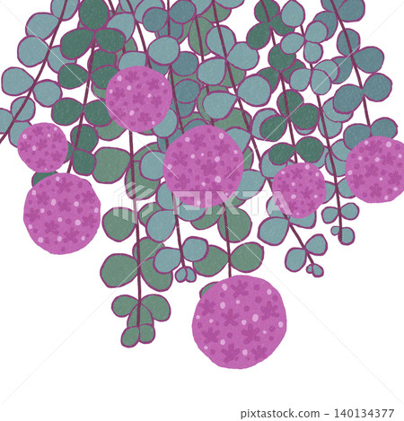 手繪花卉插圖:景天屬植物 手繪花卉插圖:景天屬植物 140134377