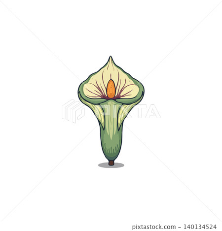 A serene isolated illustration of a calla lily, featuring graceful curves and gentle hues against a pure white background. Delicate shading adds subtle depth, enhancing its minimalistic and stylized 140134524