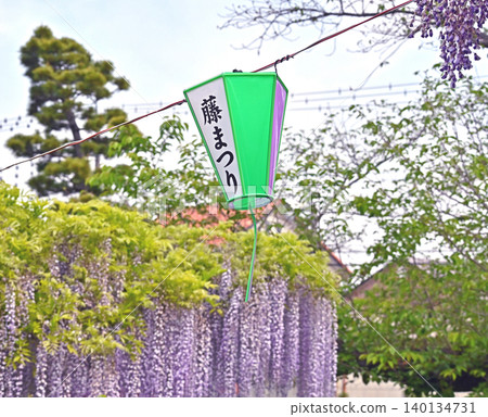 Lanterns of the "Wisteria Festival" floating in the sky Lanterns of the "Wisteria Festival" floating in the sky 140134731
