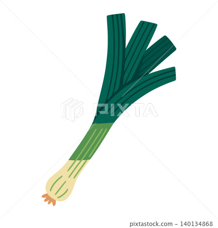 Green onion bunch in flat vector style for food illustration and recipe design Green onion bunch in flat vector style for food illustration and recipe design 140134868