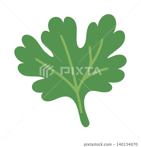 Green oak leaf flat vector illustration for nature and botanical designs Green oak leaf flat vector illustration for nature and botanical designs 140134870