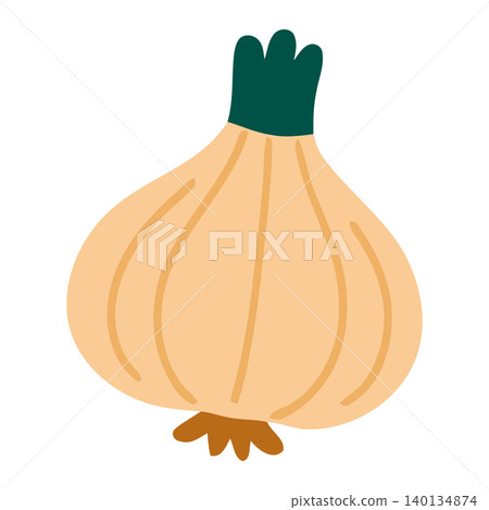 Onion illustration in flat vector style for food packaging and branding Onion illustration in flat vector style for food packaging and branding 140134874