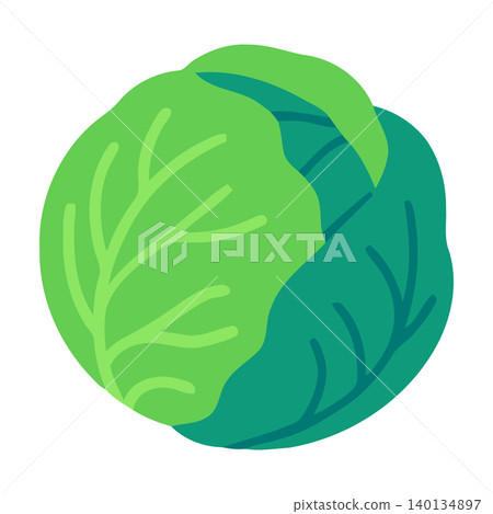 Green cabbage flat vector illustration for food packaging and branding Green cabbage flat vector illustration for food packaging and branding 140134897