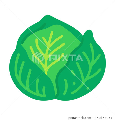 Green cabbage flat vector illustration for food packaging and branding Green cabbage flat vector illustration for food packaging and branding 140134934