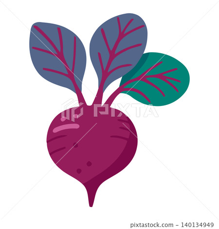 Beetroot vegetable in modern flat vector style for food illustration and packaging Beetroot vegetable in modern flat vector style for food illustration and packaging 140134949