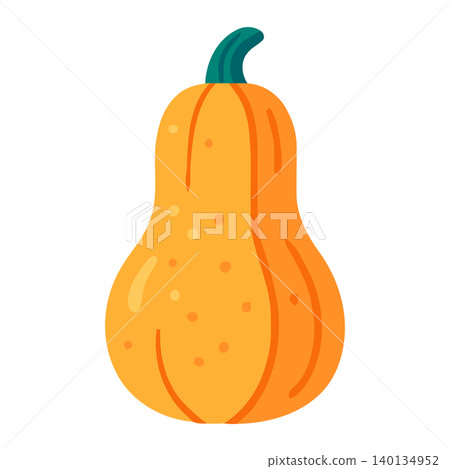 Butternut squash in flat vector style for food illustration and packaging 140134952