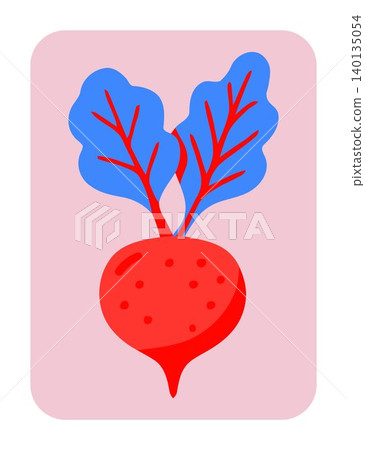 Beetroot flat vector illustration on pink background for food and vegetable design Beetroot flat vector illustration on pink background for food and vegetable design 140135054