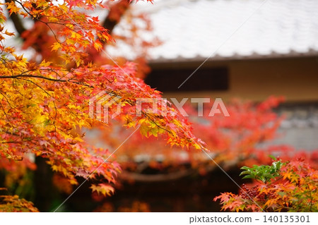 京都秋天的Bunkyoin 140135301