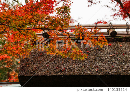 Kyoto Autumn's Bunkyoin Kyoto Autumn's Bunkyoin 140135314