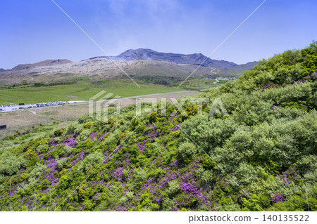 埃博希山,是杜鵑花(Rhododendron kiusianum)盛開的地方。 埃博希山,是杜鵑花(Rhododendron kiusianum)盛開的地方。 140135522