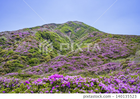 Mount Eboshi where Rhododendron kiusianum blooms. Mount Eboshi where Rhododendron kiusianum blooms. 140135523