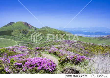 Mount Eboshi where Rhododendron kiusianum blooms. Mount Eboshi where Rhododendron kiusianum blooms. 140135527