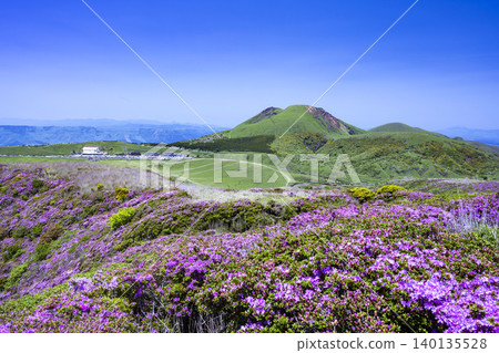 埃博希山,是杜鵑花(Rhododendron kiusianum)盛開的地方。 埃博希山,是杜鵑花(Rhododendron kiusianum)盛開的地方。 140135528