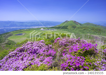 埃博希山，是杜鵑花（Rhododendron kiusianum）盛開的地方。 140135535