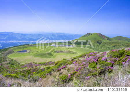 埃博希山,是杜鵑花(Rhododendron kiusianum)盛開的地方。 埃博希山,是杜鵑花(Rhododendron kiusianum)盛開的地方。 140135536