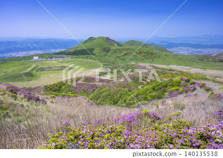 埃博希山,是杜鵑花(Rhododendron kiusianum)盛開的地方。 埃博希山,是杜鵑花(Rhododendron kiusianum)盛開的地方。 140135538