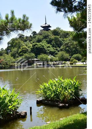 Yokohama City: The large pond and three-story pagoda of Sankei-en Garden Yokohama City: The large pond and three-story pagoda of Sankei-en Garden 140135645