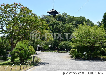 Yokohama City: Sankeien Garden walking trail and three-story pagoda Yokohama City: Sankeien Garden walking trail and three-story pagoda 140135647