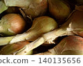 harvested onions 140135656
