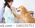 Pet training: A Golden Retriever receiving treats. 140135751