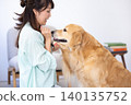 Pet training: A Golden Retriever receiving treats. 140135752