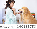 Pet training: A Golden Retriever receiving treats. 140135753