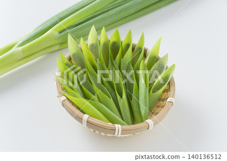 Kyoto vegetables: Kujo leeks Kyoto vegetables: Kujo leeks 140136512
