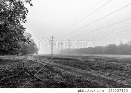 Power lines crossing misty meadow Power lines crossing misty meadow 140137123