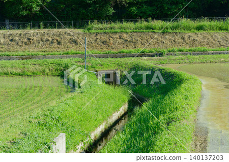 Canal Canal 140137203