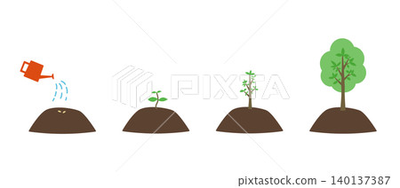 植物從種子到樹木的生長過程示意圖。 140137387