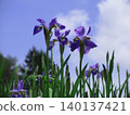 Blue sky and flowers 140137421