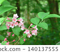 Cute pink flowers 140137555