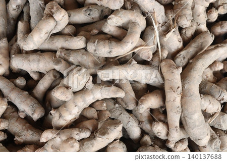 Curcuma aromatica, wild turmeric root stock on shop Curcuma aromatica, wild turmeric root stock on shop 140137688