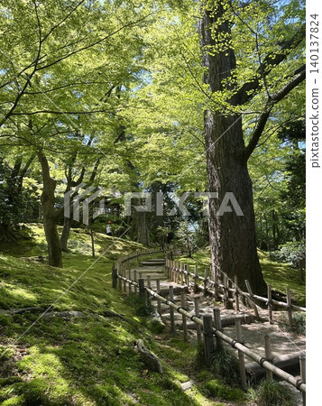 被新鮮綠樹環繞的公園 被新鮮綠樹環繞的公園 140137824